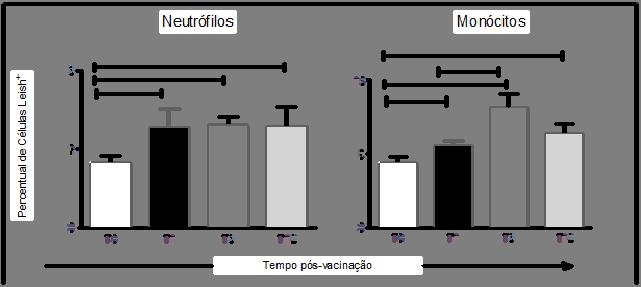 Resultados Neste trabalho os resultados referentes à atividade fagocítica antipromastigotas de Leishmania em neutófilos e monócitos do sangue periférico foram expressos na forma de valor percentual