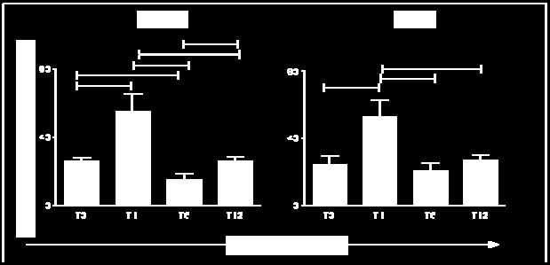 resultados referentes à expressão de molécula de ativação (MHC II) e molécula de co-ativação (CD80) em monócitos do sangue periférico foram avaliados na forma de intensidade média de fluorescência