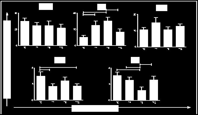 referentes ao perfil de expressão de citocinas intracelulares de monócitos do sangue periférico foram avaliados na forma de valor percentual (%) de células-fl2 + (Citocinas-PE + ), considerando a