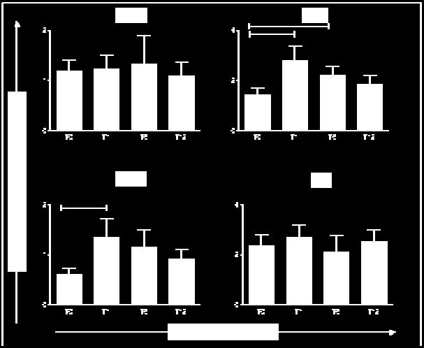 do perfil de expressão de citocinas intracelulares por linfócitos do sangue periférico foram expressos na forma de valor percentual (%) de células-fl2 + (Citocinas-PE + ), considerando a frequência