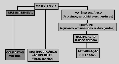 Digestão anaeróbia Figura - Esquema da digestão anaeróbia 27 Composição do biogás ELEMENTOS CONSTITUINTES % DO BIOGÁS Metano (CH4) 55 a 80 Gás Carbónico (CO 2 ) 20 a 40