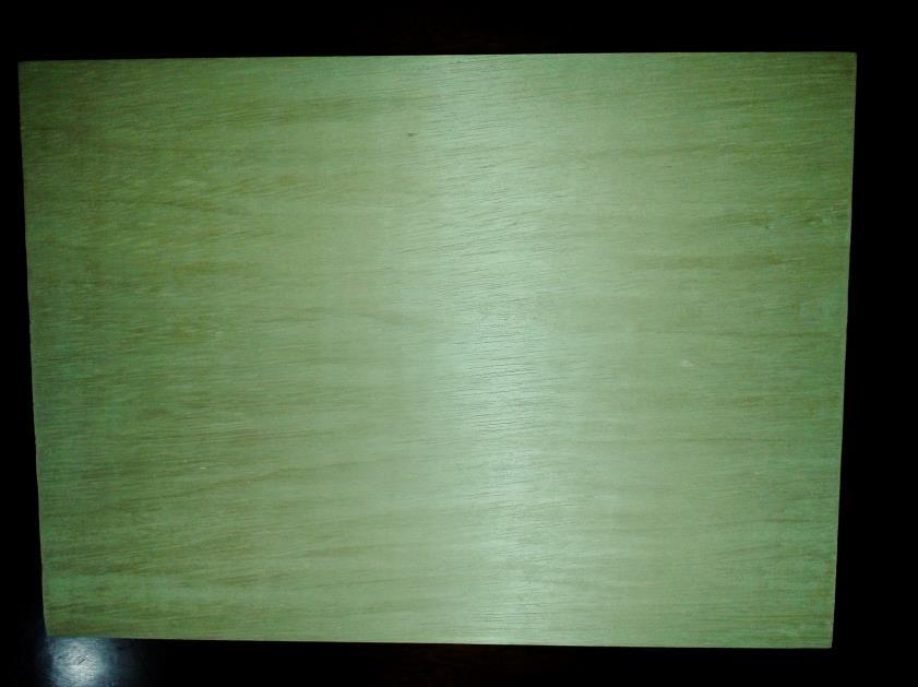 2 MONTAGEM DO EXPERIMENTO A montagem do experimento é muito simples. Todas as aulas utilizarão a base de madeira (figura 2.1) e a folha de papel milimetrado tamanho A3 plastificada (figura 2.