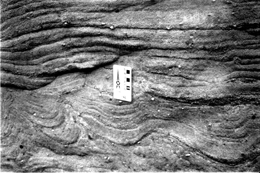Seqüências Devoniana e Eocarbonífera da Bacia do Parnaíba, Brasil, como análogoas... 87 Fotografia 4.5: Detalhe de deformação nos estratos da Fácies Gcm no afloramento IP-1.