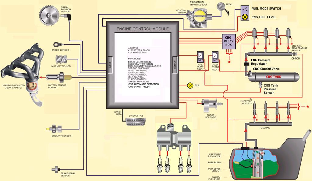 Delphi MultiFuel +