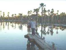 Lagoa Das Araras: Um encanto de lugar, uma represa que virou um condomínio de centenas de aves,