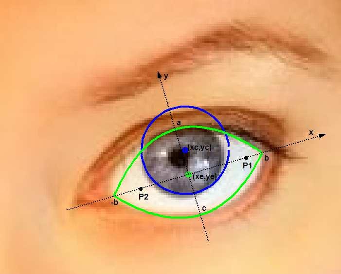 Detecção de Faces em Imagens baseada na Identificação da Pele e dos Olhos 4 Resultados Experimentais Nesta secção são apresentados alguns resultados obtidos, usando implementações desenvolvidas em