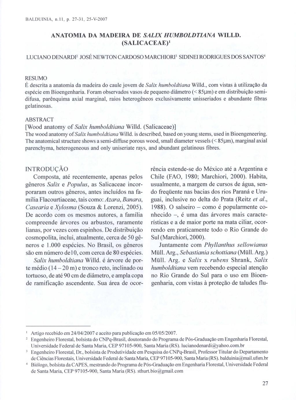 BALDUINIA. n.ll, p. 27-31, 25- V-2üü7 ANATOMIA DA MADEIRA DE SALIX HUMBOLDTIANA WILLD.