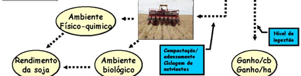 integração lavourapecuária em