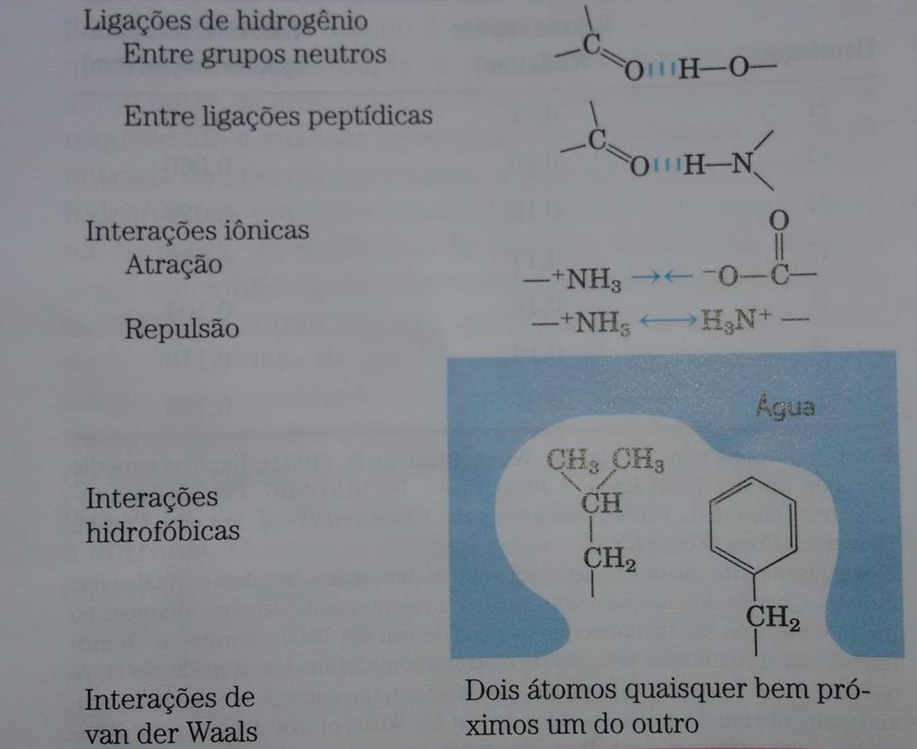 . Resumo dos quatro tipos