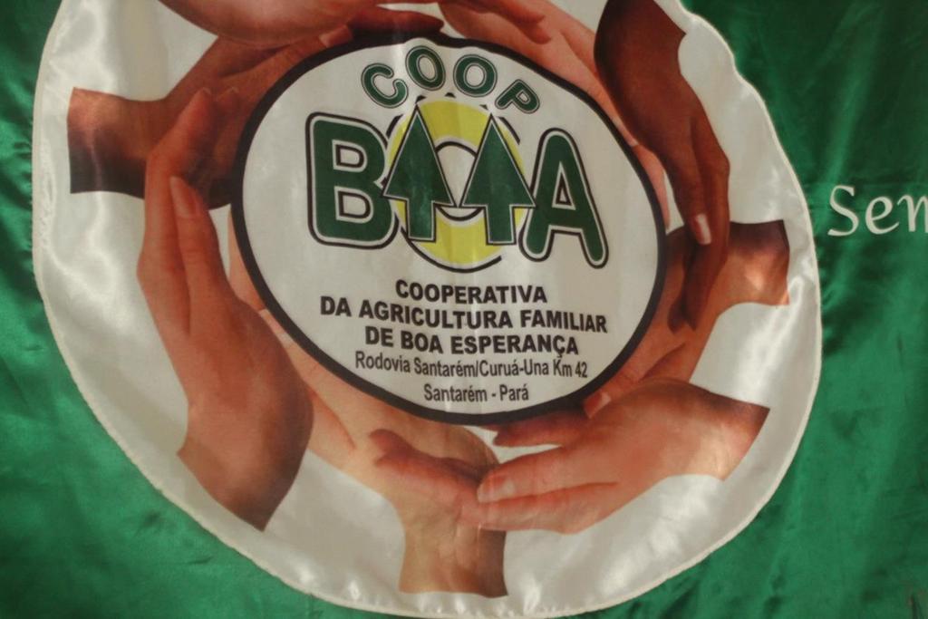 Figura 1- Bandeira da cooperativa Uma análise sobre as sociabilidades e lógica da terra Relacionando as sociabilidades encontradas nas relações no meio rural da comunidade de Boa Esperança e agentes