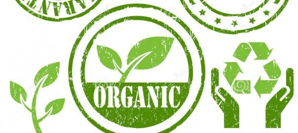 Produtos orgânicos Legislação Considera-se produto orgânico, seja ele in natura ou processado, aquele que é obtido em um sistema orgânico de produção agropecuária ou oriundo de processo extrativista