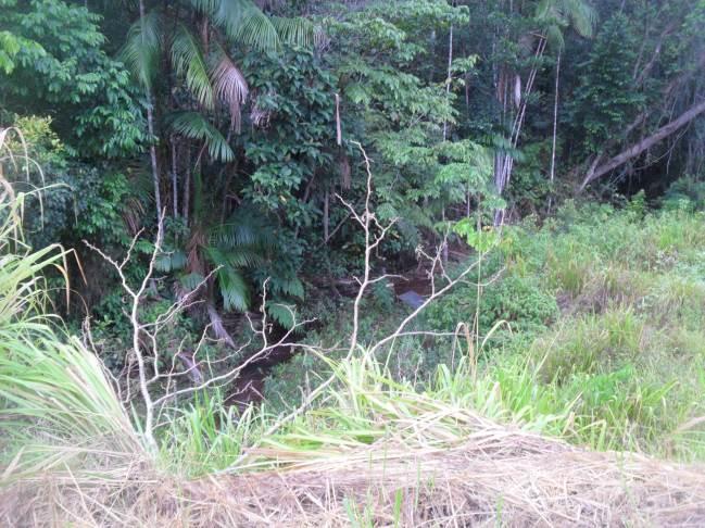 Detalhe da recuperação do canteiro lateral da rodovia; no local foram utilizados blocos de