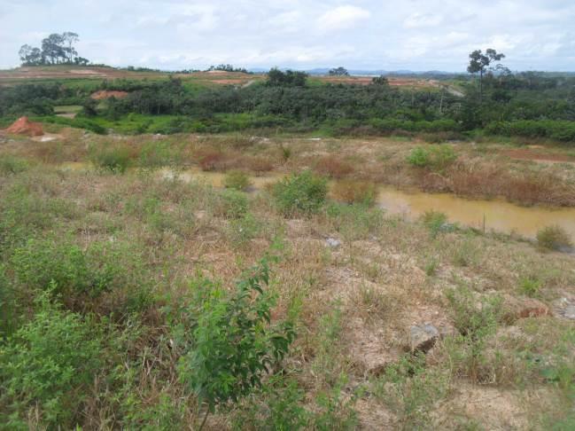 A área de empréstimo foi reconformada com o abatimento dos taludes de corte, terraceamento,