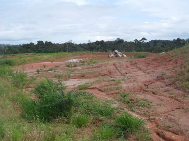 Foto 67: CCBM. Margem direita do Rio Xingu no Sítio Pimental. AE-MD-1A.