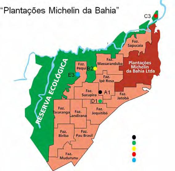 Figura 1. Mapa da fazenda "Plantações Michelin da Bahia".