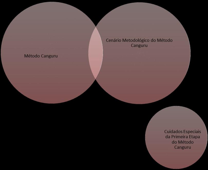 33 Dos 23 estudos analisados, 4 (17,39 %) discorrem diretamente sobre o Método Canguru (MC), enquanto 6 (26 %), apenas fazem menção do MC em suas metodologias, dentre esses 6, dois fazem parte dos 4