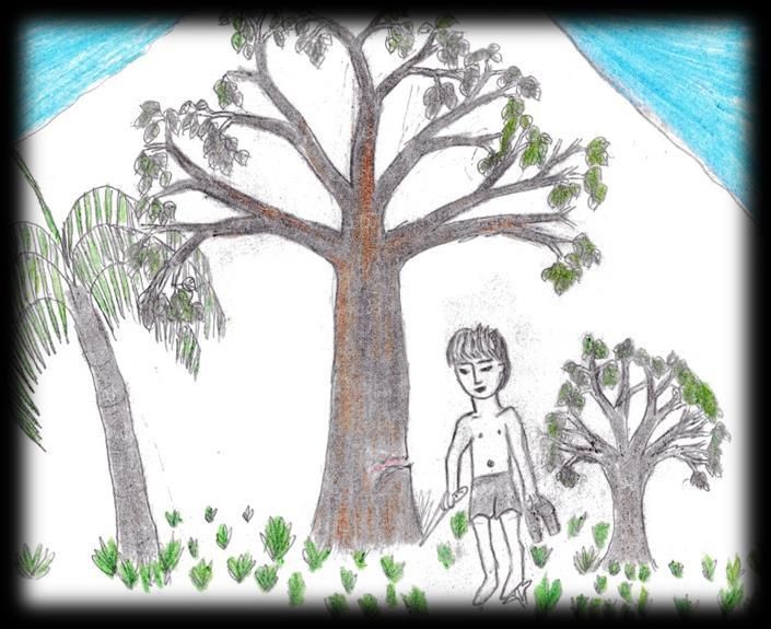 Árvore do Tawary Era uma vez um homem que saiu em direção à mata para coletar a casca de uma árvore por nome Tawary, que é muito utilizada pelos povos indígenas em época de festas do Turé e mutirões.