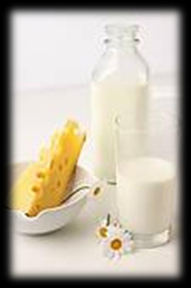 leite de vaca, coalhadas e iogurtes
