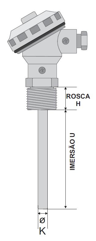 x SENSOR C/ CABEÇOTE E ROSCA FIXA - RTM 125-80 ELEMENTO SENSOR: B2 - PT100 SIMPLES 2 FIOS (CLASSE B) B3 - PT100 SIMPLES 3 FIOS (CLASSE B) A3 - PT100 SIMPLES 3 FIOS (CLASSE A) B6 - PT100 DUPLO 6 FIOS