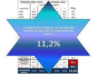 Desempenho das Novas Variedades Estudo Guarani Estudo IAC Desempenho das