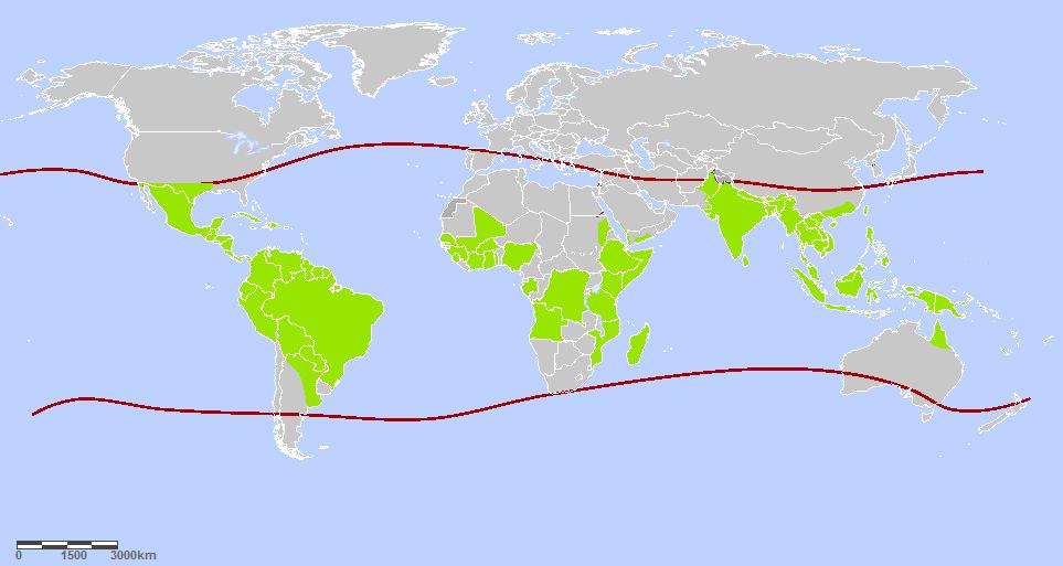 Países e territórios com ocorrência de casos de Dengue ou com risco para a ocorrência