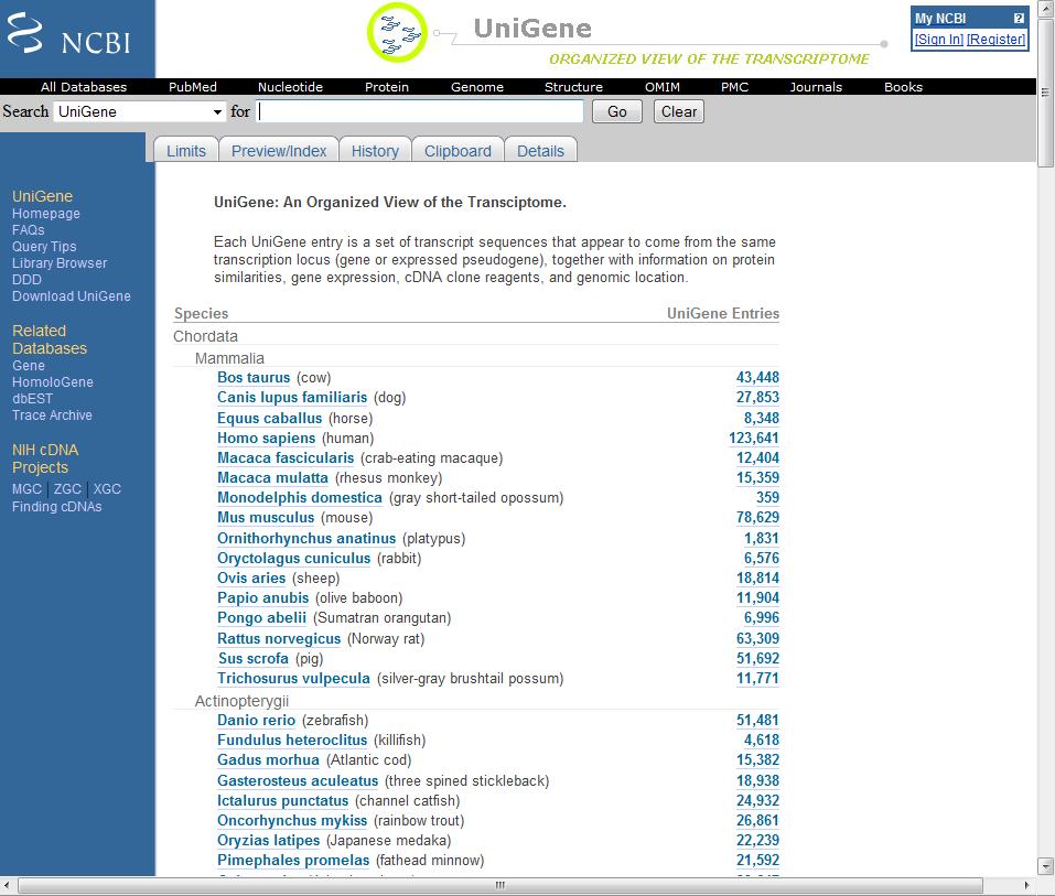 BANCOS DE DADOS DO NCBI UniGene Contém clusters de ESTs formados a partir de similaridades usando o