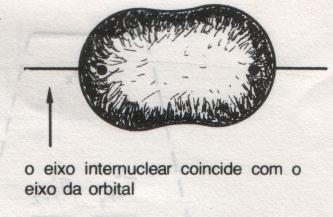 Teoria das Orbitais Moleculares TOM O que caracteriza as orbitais σ e π Uma orbital molecular ligante do tipo σ