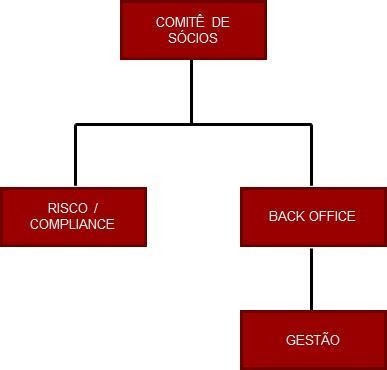 2. Estrutura Organizacional Geral Abaixo a estrutura hierárquica que envolve a alocação de recursos e seus controles e monitoramento: I.