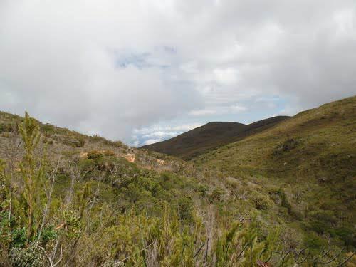 646, tem como objetivo proteger além do Pico da Bandeira, amostras representativas de ecossistemas de "campos de altitude", e da floresta sub-caducifólia tropical, como também espécies da fauna