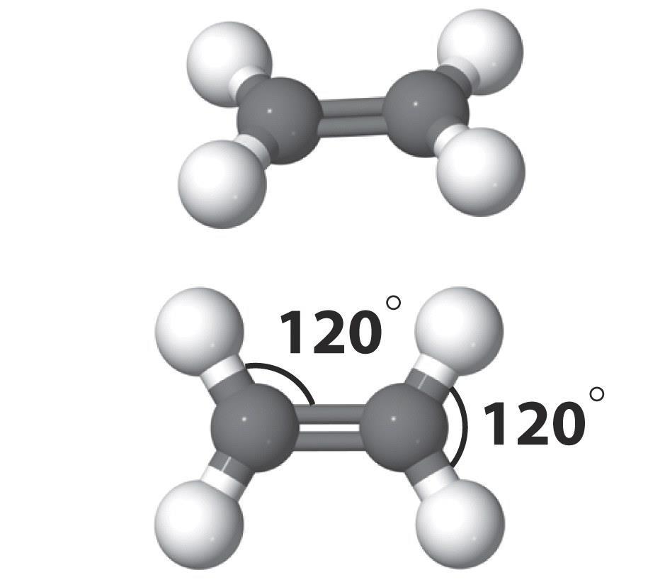 Ligações duplas carbono-carbono sp 2 C hibridizado sp 2