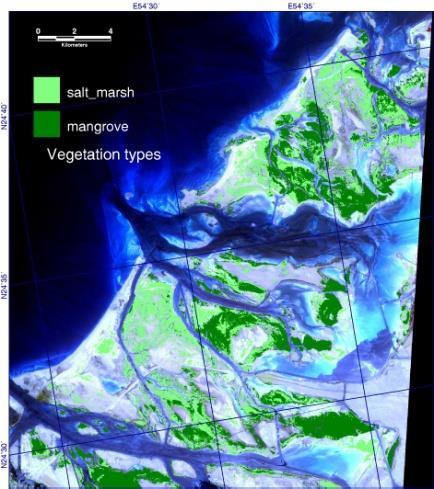 Georreferenciados Mapa de Vegetação