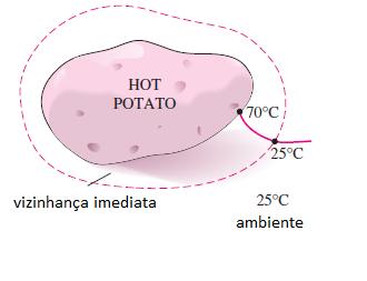 Introdução Vizinhança tudo que está fora das fronteiras do sistema.