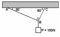 9) Na figura, o corpo suspenso tem o peso 100N. Os fios são ideais e têm pesos desprezíveis, o sistema está em equilíbrio estático (repouso).