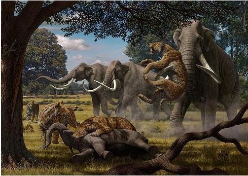 A história da vida na Terra, feita a partir dos registos fósseis, mostra grandes alterações evolutivas nas formas de vida.