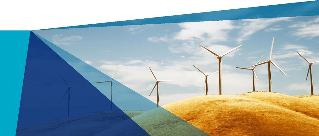 Gerenciamento de Riscos no Setor Eólico V German-Brazilian Renewable Energy Business Conference