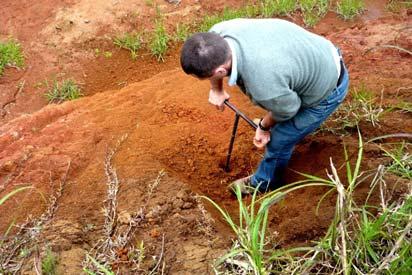 caracterização morfológica e física do perfil de solo local, classificado como rgissolo Vermelho-marelo, constitui fase importante neste projeto e a apresentação dos resultados obtidos é o objetivo