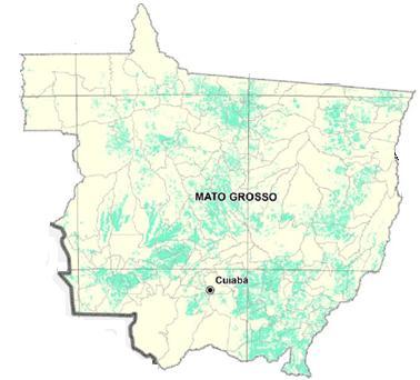 Indústria de Base Florestal Espécie Área (Mha) Destino Eucalipto 188 100% Energia Teca 65 90% Exportação