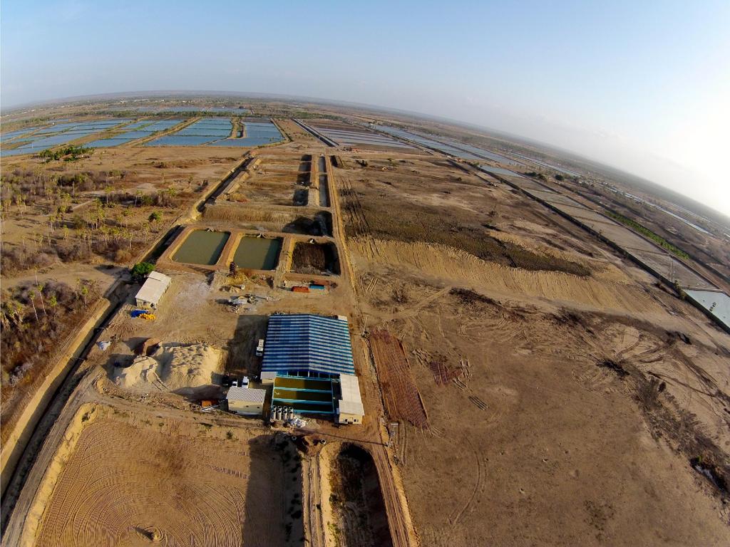 EXPANSION INTO INLAND AREAS LOW SALINITY SHRIMP FARMING Abandoned tilapia farms or in salted