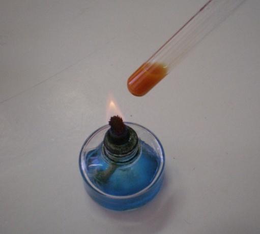 Solução B do licor de Fehling. Fósforos Esquema de montagem: Figura 1.2 Teste do Licor de Fehling. Procedimento experimental: Preparar uma solução de glicose.