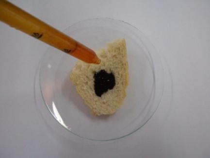 Esquema de montagem: Figura 3.2 Adição de água iodada a amostras (por exemplo: pão). Procedimento experimental: Figura 3.3 Tubo de ensaio contendo cozimento de amido e água iodada.