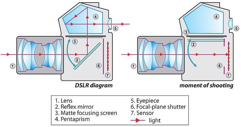 DSLR Câmara reflex monobjetiva digital (DSLR: "digital single-lens reflex camera") câmara digital que usa um sistema mecânico de espelhos e um pentaprisma para direcionar a luz da lente para um visor