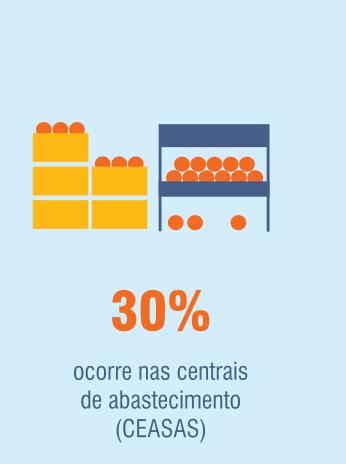 Principais causas das perdas: PERDAS PÓS-COLHEITA COMERCIALIZAÇÃO: SISTEMAS INEFICIÊNTES - ATACADO E VAREJO CONSUMIDOR : MANUSEIO