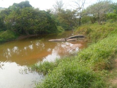 No rio Paraíba nós observamos que é um Rio de grande extensão, com mata ciliar, tem moradias ao lado, possui muita poluição, tem erosão, assoreamento e abriga animais como patos.
