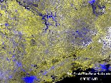 As imagens do Landsat-TM tem uma resolução espacial de 30 metros, o que implica que objetos com dimensões menores do que 30 x 30 m não podem ser identificados.
