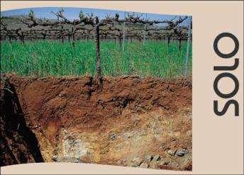 Pedogênese: processo de formação do solo SOLO Solo camada mais superficial da crosta terrestre, é composto por material