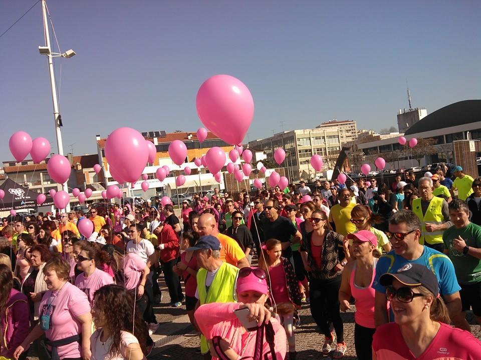 Atividades do CMMCA Dinamização dos Percursos Pedestres Participação em eventos fora do concelho (Meia Maratona do Douro Vinhateiro) Apoio a eventos