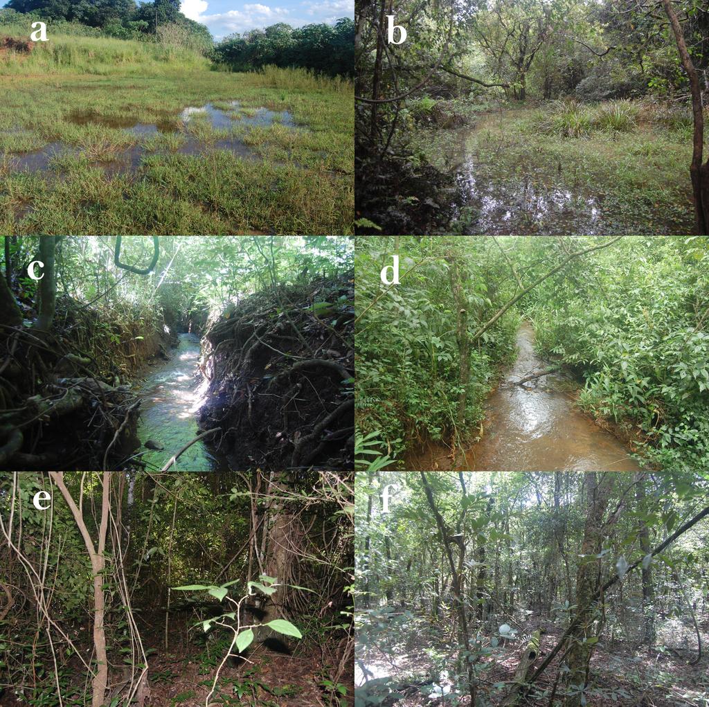 Biota Neotrop., 17(1): e20160197, 2017 3 Amphibians of Vassununga State Park Figure 2. Sites sampled in the Vassununga State Park: (a) temporary pond in open area (TP1; 21 43 9.83 S, 47 38 44.