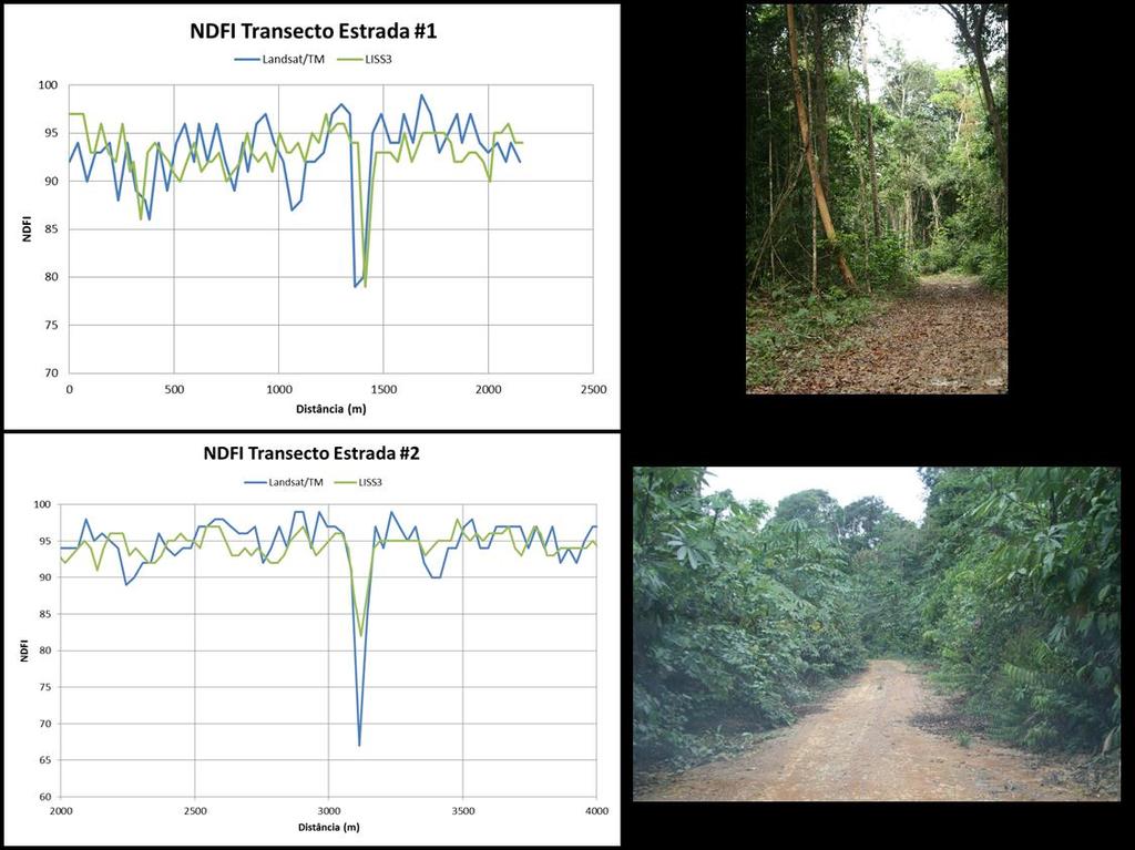 Uma análise quantitativa mais detalhada dos valores NDFI LISS3 e Landsat ao longo de dois perfis que atravessam estradas de características diferentes (uma estrada em boas condições de rodagem, com