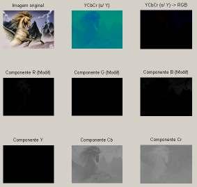 permite ainda eliminar as varias componentes de YCbCr alterando assim a imagem e convertendo-a para o espaço RGB verificando assim os seus efeitos na imagem.