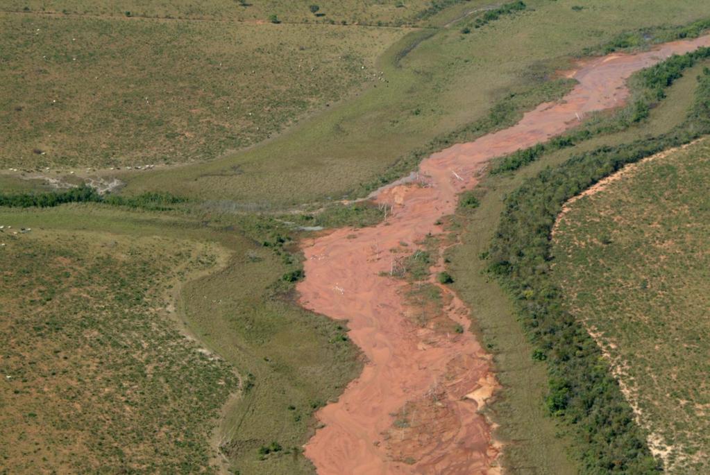 CONSEQUÊNCIAS: Assoreamento de corpos d água Rio